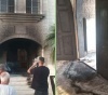 المستعمرون يصعّدون هجماتهم الإرهابية في الضفة: إحراق مسجدين ومنزل والاعتداء على مواطنين وتخريب ممتلكات وإقامة بؤرة استعمارية