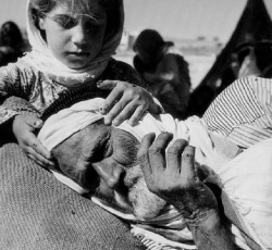 لاجئ فلسطيني