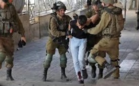 الاحتلال يعتقل 6 مواطنين من مخيم قلنديا شمال القدس