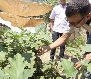 اللجنة الشعبية للاجئين بمخيم المغازي تشيد بمبادرات النازحين في مركز الإيواء بالمغازي وتعزز صمودهم