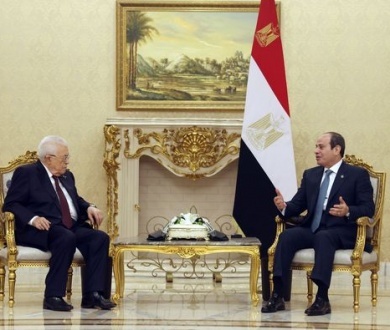 الرئيس يجتمع مع نظيره المصري