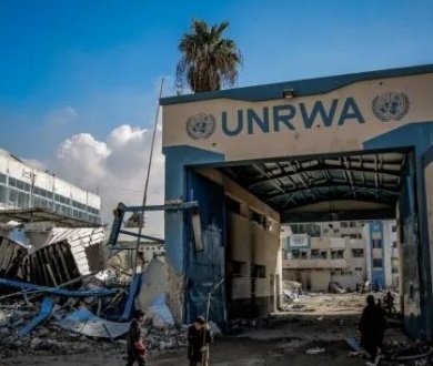 UNRWA Chief describes Gaza's situation as utterly horrific amid ongoing Israeli genocide