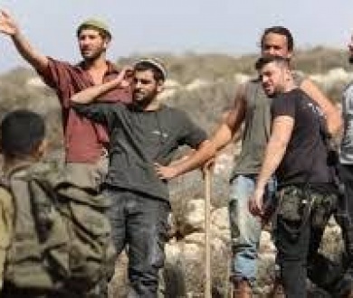 مستعمرون يهاجمون مواطنا ويسرقون أغنامه جنوب شرق نابلس