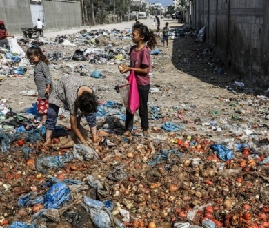 تقرير أمميّ: كافة سكان غزة يواجهون انعدام الأمن الغذائيّ الحاد