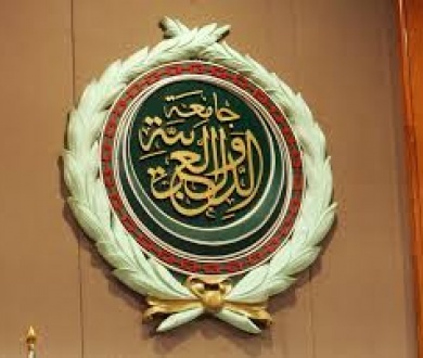 مجلس الجامعة العربية يدعو إلى حماية الشعب الفلسطيني من الإبادة والتهجير ومنع تصفية قضيته المركزية