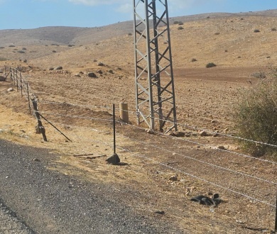 مستعمرون يواصلون تسييج أراض بالأغوار الشمالية