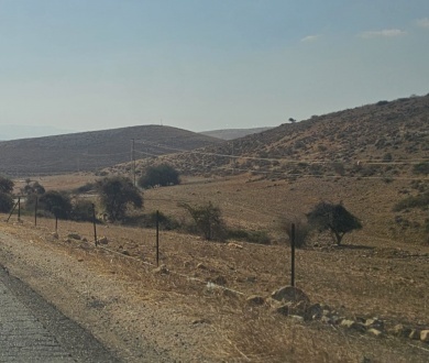 مستعمرون يسيّجون أراضي في الأغوار الشمالية