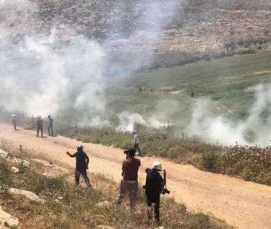 خبراء أمميون يحذرون من تهديدات إسرائيلية تستهدف المزارعين الفلسطينيين في الضفة الغربية