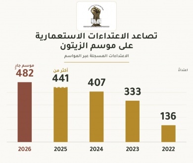 تصاعد الاعتداءات منذ عام 2022: أكثر من 482 اعتداء منذ بدء موسم الزيتون 2026