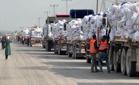 تواصل ردود الأفعال الدولية المنددة بتصريحات ترمب بشأن السيطرة على قطاع غزة وتهجير الفلسطينيين