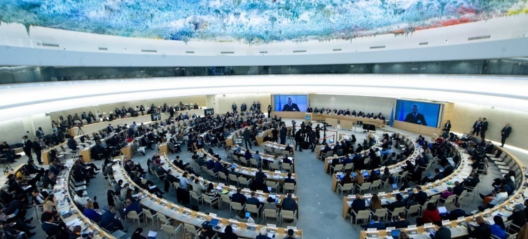 الأمم المتحدة تؤكد أهمية عمل مجلس حقوق الإنسان ووكالة الأونروا