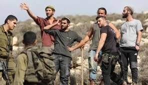 مستعمرون يهاجمون مواطنا ويسرقون أغنامه جنوب شرق نابلس