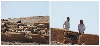 مستعمرون يطلقون مواشيهم بين مساكن المواطنين في شلال العوجا شمال أريحا   