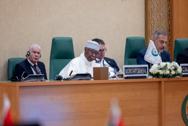 وزراء خارجية "التعاون الإسلامي": السلام لا يمكن تحقيقه إلا عبر تنفيذ حل الدولتين