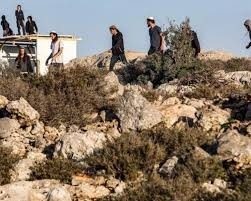 الاحتلال يهدم خيمة ويحتجز مالكها ومستعمرون يسرقون أخرى في الأغوار