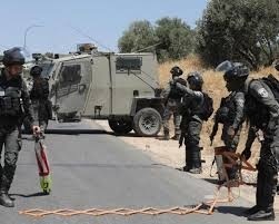 الاحتلال يغلق المدخل الغربي لقرية المغير