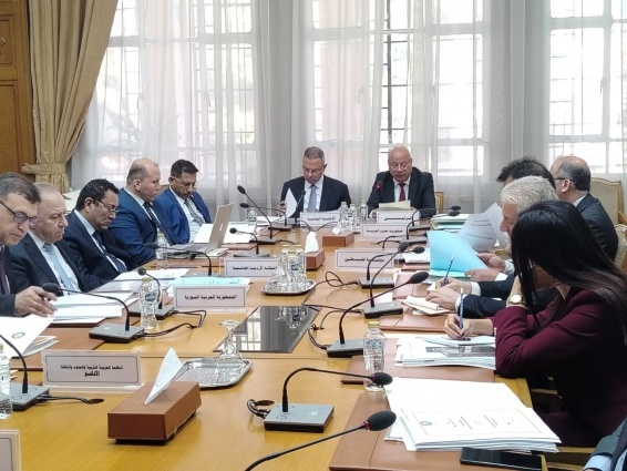 Abu Holi at the Supervisors' Conference in Cairo: The Need to Provide More Support and Formulate a Shared Vision to Strengthen the Resilience of Palestinian Refugees