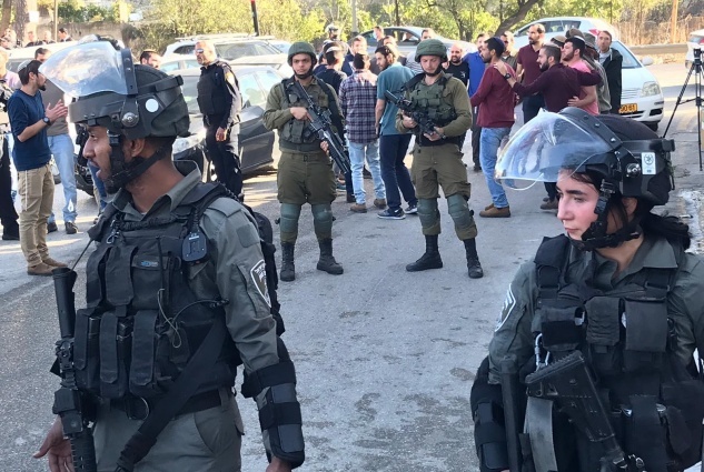 مستعمرون يهاجمون منازل المواطنين في اللبن الشرقية جنوب نابلس