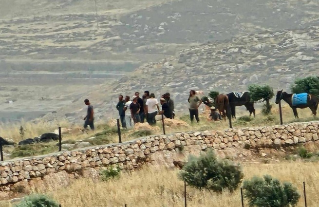 إصابة 4 مواطنين واقتلاع 60 شجرة في هجوم للمستعمرين جنوب الخليل