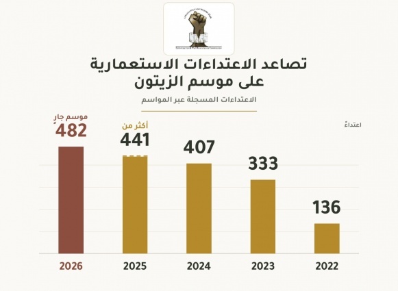 تصاعد الاعتداءات منذ عام 2022: أكثر من 482 اعتداء منذ بدء موسم الزيتون 2026